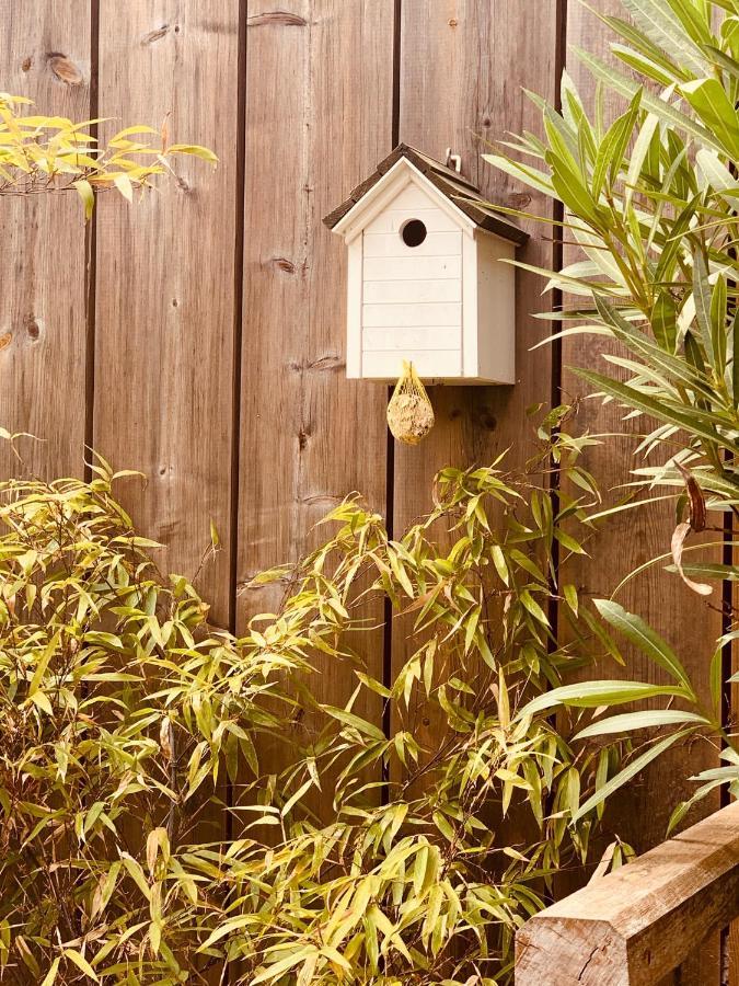 La Cabane Du Bois Arcachon Eksteriør billede